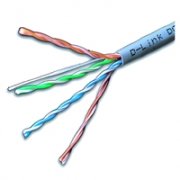 4����������ι��̾�